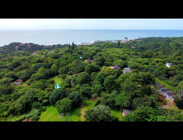 BUSINESS FOR SALE IN GLENMORE BEACH